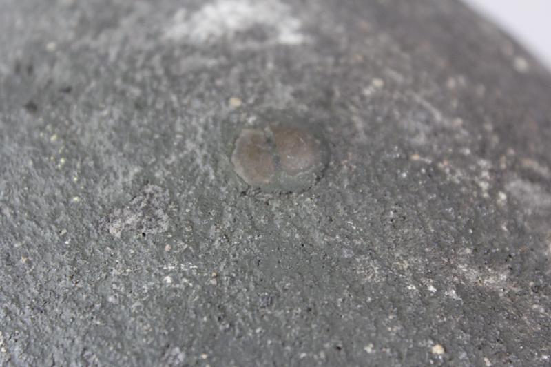 WW2 British Bullet Holed Camouflage Helmet With Unit Flash Under Paint